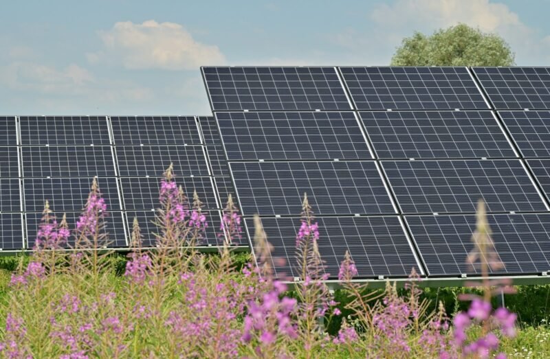 black solar panels on purple flower field during daytime